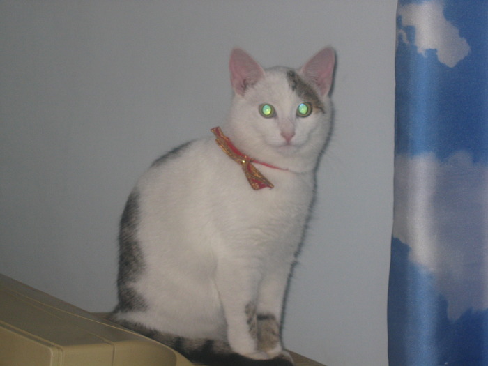 23 dec 2007 044