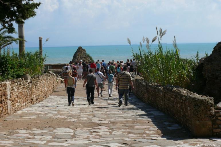 Tunisia_672 - Tunisia