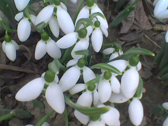 Imag065