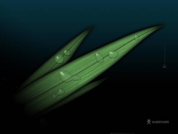 (462) - HD Wallpapers