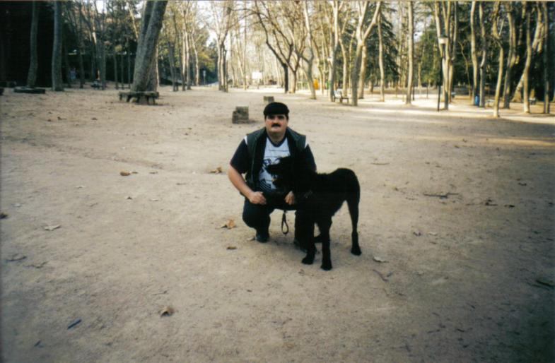 schnauzer; dresaj schnauzer Girona
