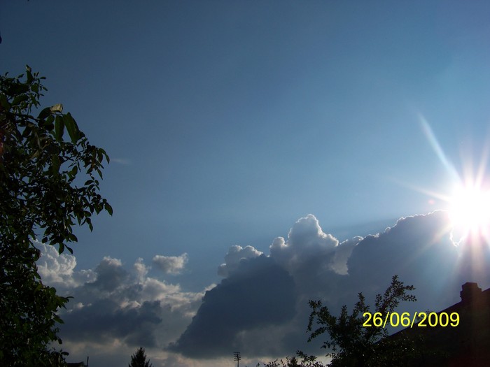100_6037 - Iunie 2