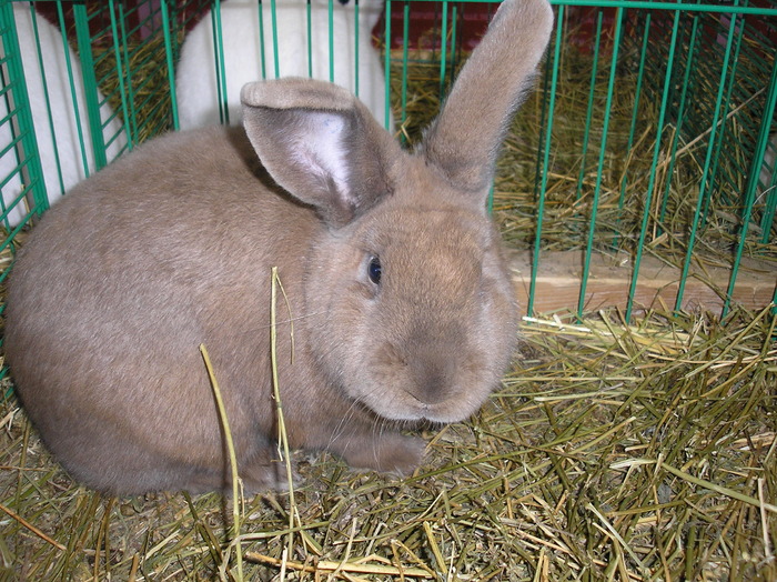 P1010150