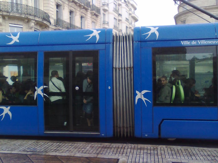 croaziera cu tranvaiu - ApiMondia