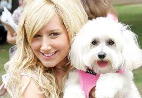 blondie-tisdale-puppiath