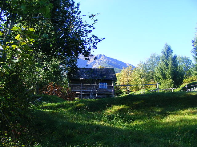 DSCF6423 - muntii Rodnei