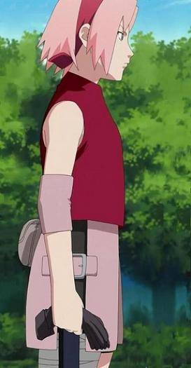 ANIMESAKURA