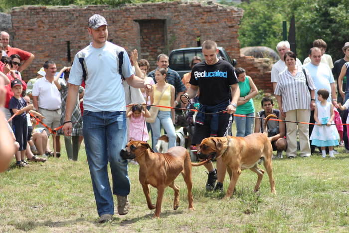 28 06 A-Iulia5 - EXPOZITIE canina 28 06 09 Alba-Iulia