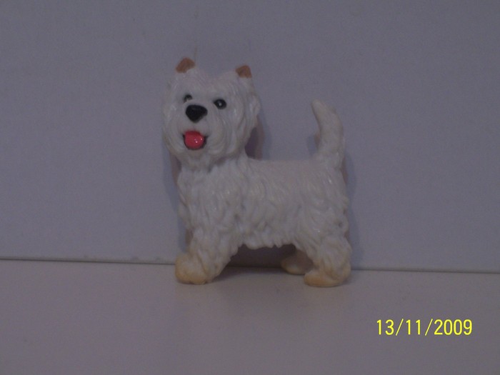 Westie - Ferma