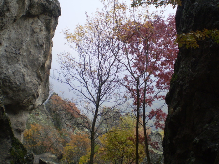 VALEA CALINESTI-PIETRELE ZMEILOR 11.10.2009 044