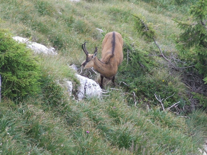 2009_08210212; Romania
