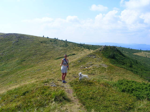 DSCF4425 - 2 august 2009 Traseu Suior Secatura Creasta Cocosului Gutaiul Doamnei  Vf Gutai