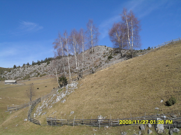 SDC10683 - cheile gradistei