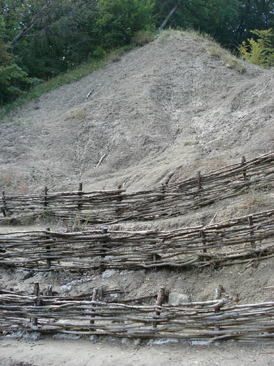 DSC07340 - LACUL URSU