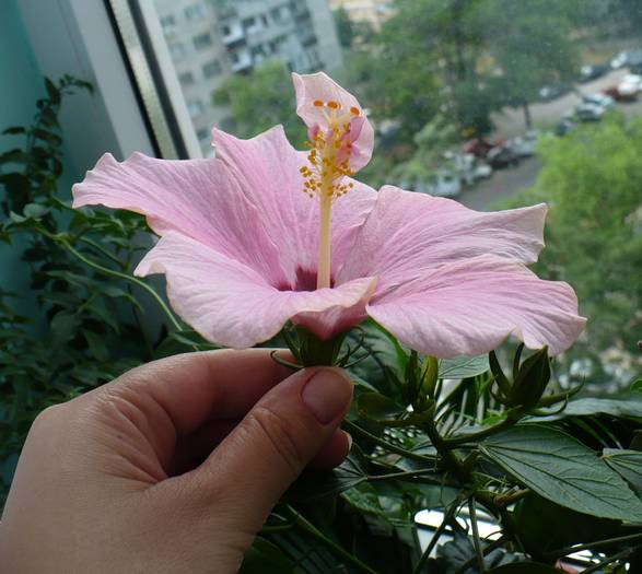 P1130358