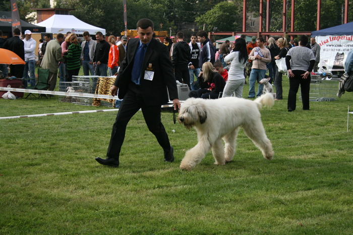 expo bucuresti 2008 020 - RoJCh EuJCh BALAN D MURESAN