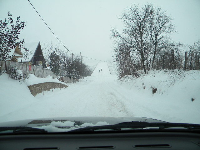 DSCN4009; iarna 2009
