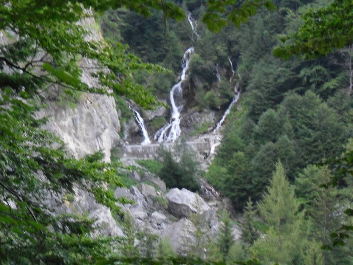SDC10134 - Valea Caraiman-Bucegi