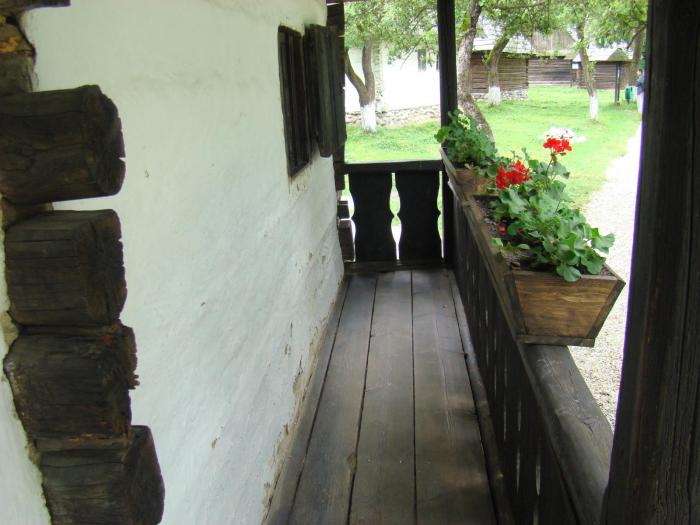 DSC02063 - Concediu 2008