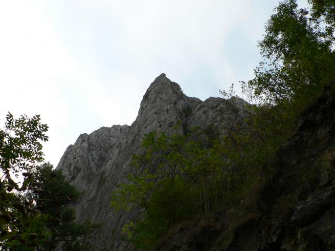 P100083