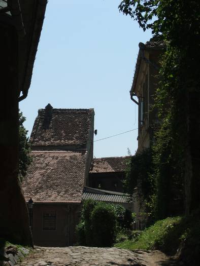 DSCF0882 - sighisoara