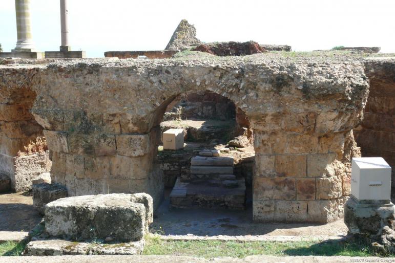 Tunisia_684 - Tunisia