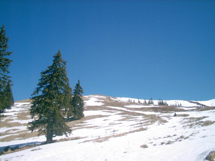 04120089 - Iezer-Papusa