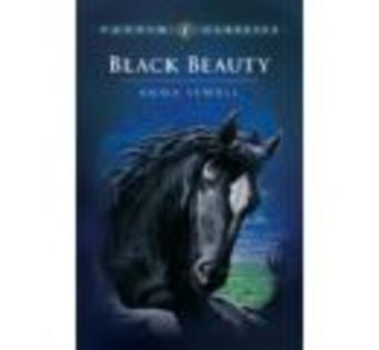 black beauty - BLACK BEAUTY