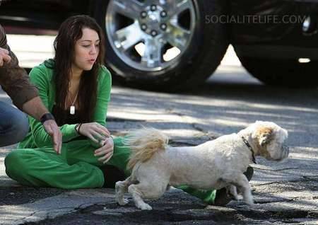 miley_cyrus_022808_02-thumb