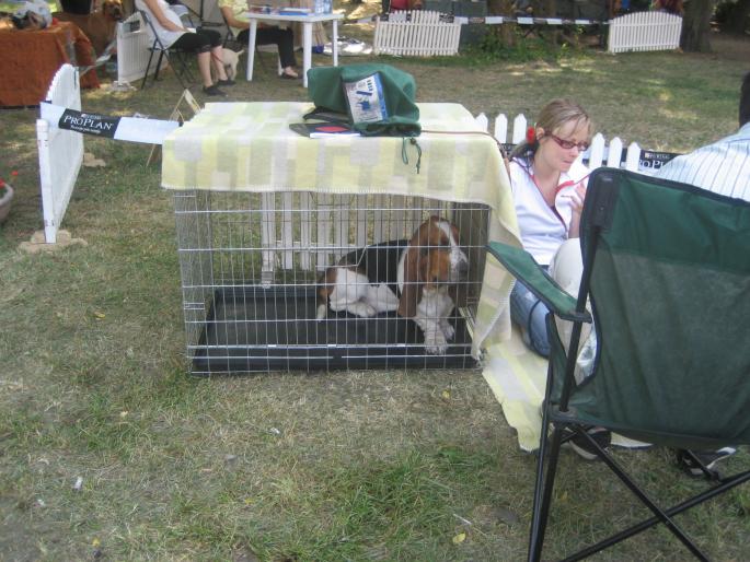 IMG_3344 - EXPO Tg Mures 2008