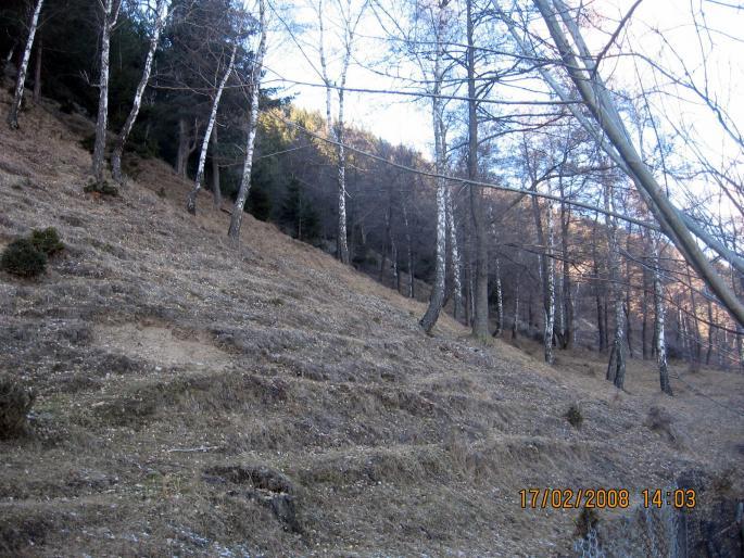 o zona f grea din pct. de vedere columbofil...la poalele M.tiilor - natura