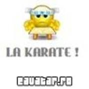 eAvatar.ro_b7cf6f79f56fb7dc28e4b573d3b270703LA KARATE (Custom)