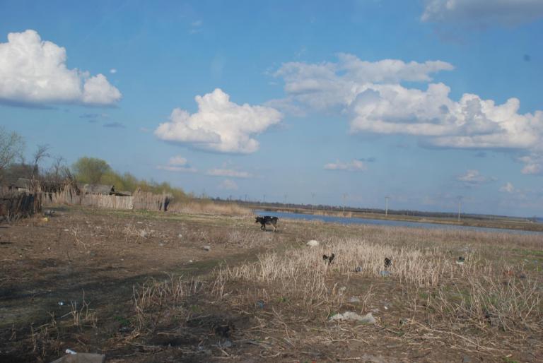 Afbeelding 114 - VERISOARA MEA FAVORITA