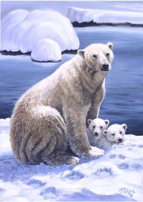 Polar Bears_jpg
