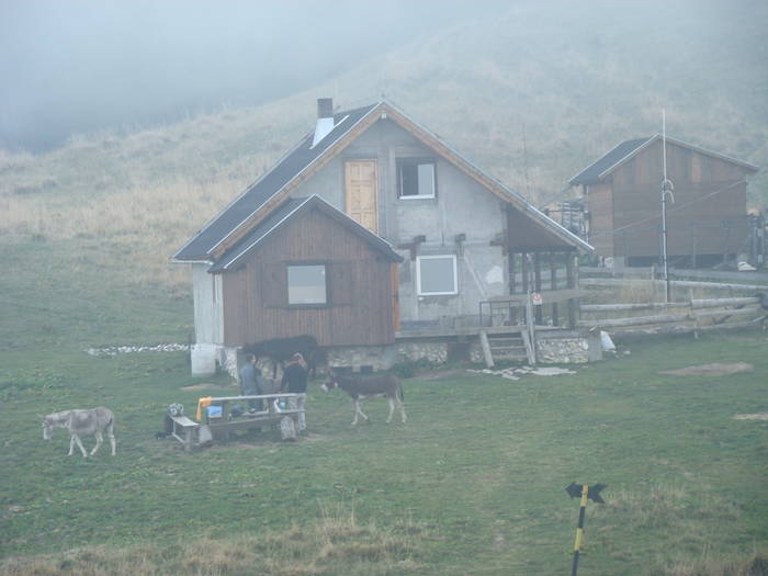 DSC00380