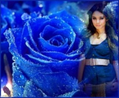 trandafir albastru - cele mai frumoase poze cu vanesa