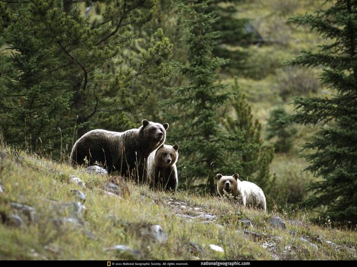 National Geographic Wallpapers 057 - peisaje