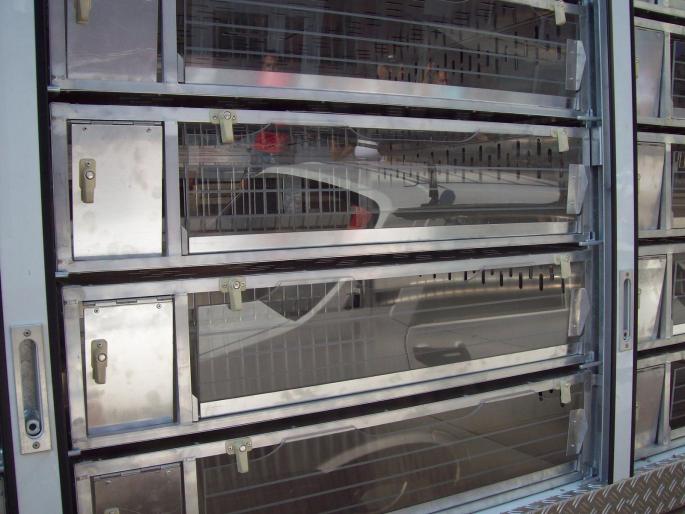 gmg22 012 - ASC grivita concurs 2008