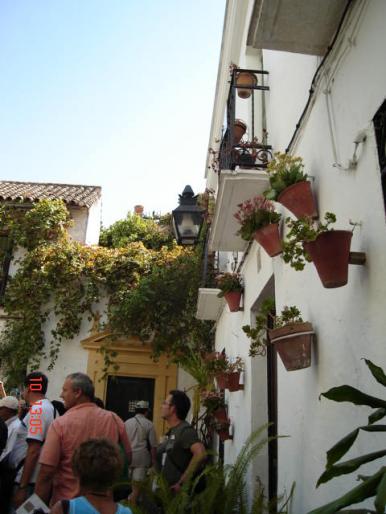 132 Cordoba - Cordoba