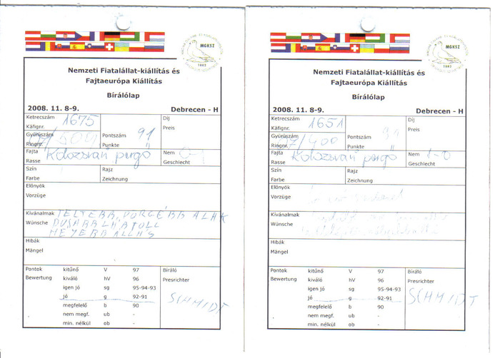 fise albitraj Debrecen 2008