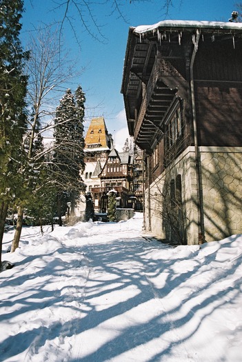 000011 - Sinaia 23 08 2009