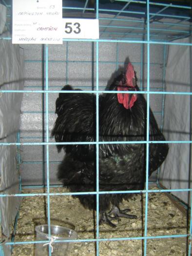 10-14 nov 2008 050