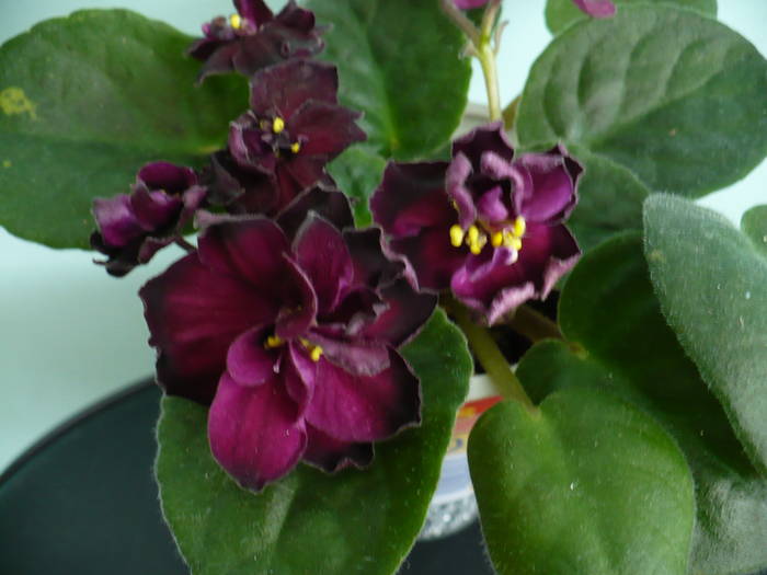 P1100358