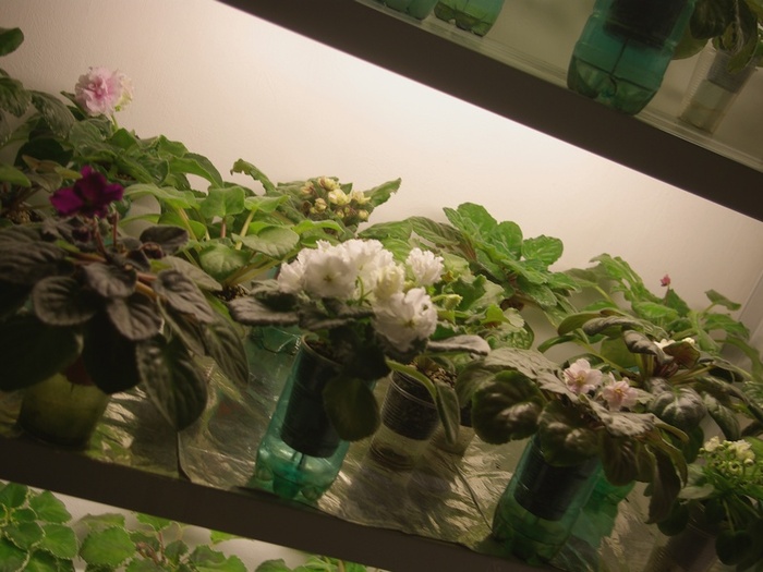 SG105550 - 2013 - Rafturi-Grup