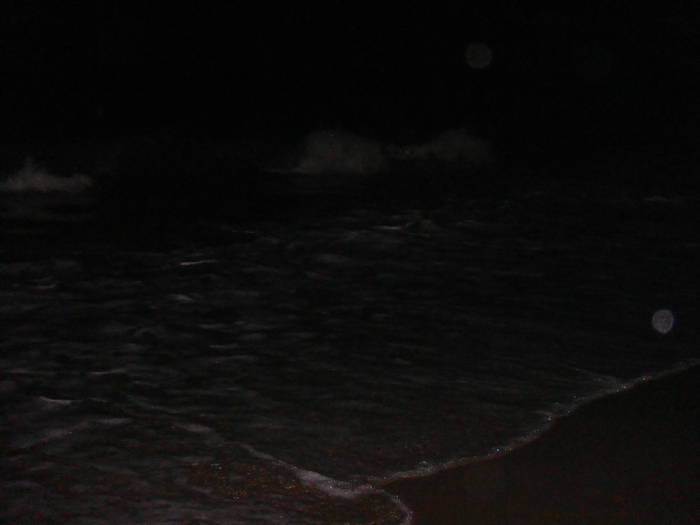 099 - bulgaria aug 2009