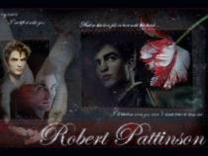 robert pattinson - Twilight 143