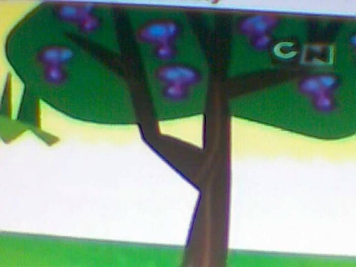 snapshot-2853 - Video Hsm Vedete