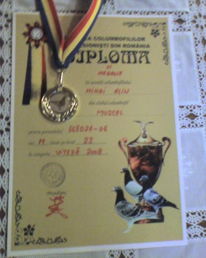 Locul 23 categ Viteza 2008 club Muscel ( loc 1081 UCP) cu porumbelul 565021-06 m - Diplome si medalii