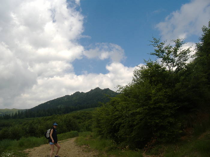 DSCF6083