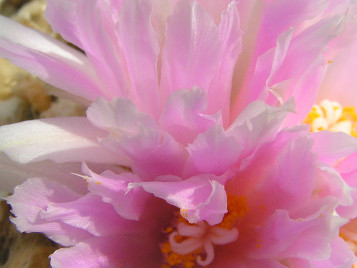 P9206831